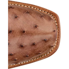 Carlock 13" Full Quill Ostrich