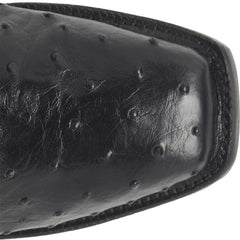 Rancher 12" Full Quill Ostrich
