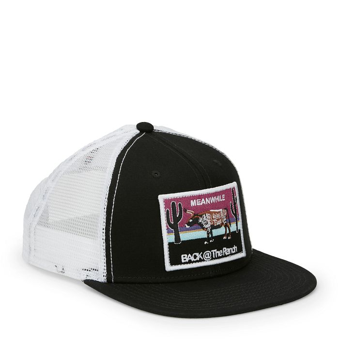Justin Standing Steer Cap