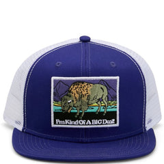 Justin Cap-Purple Patch
